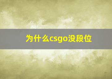 为什么csgo没段位