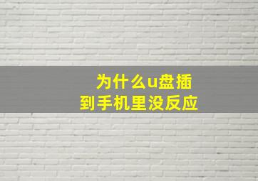 为什么u盘插到手机里没反应