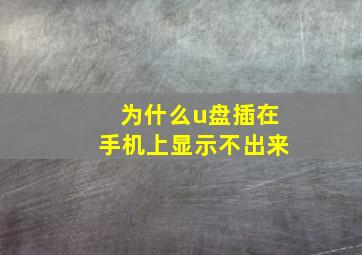 为什么u盘插在手机上显示不出来