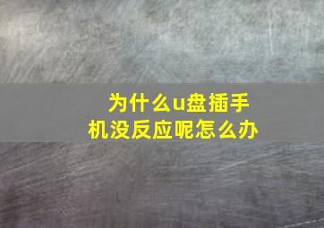 为什么u盘插手机没反应呢怎么办