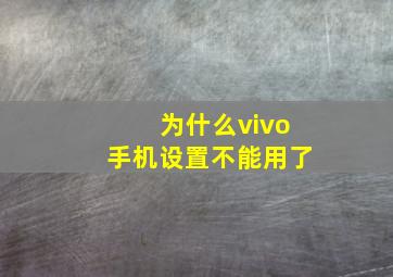 为什么vivo手机设置不能用了