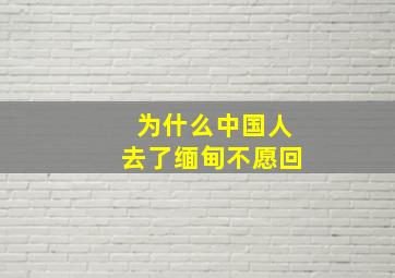 为什么中国人去了缅甸不愿回