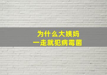 为什么大姨妈一走就犯病霉菌