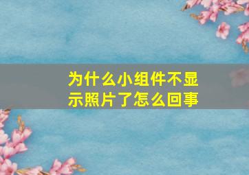 为什么小组件不显示照片了怎么回事