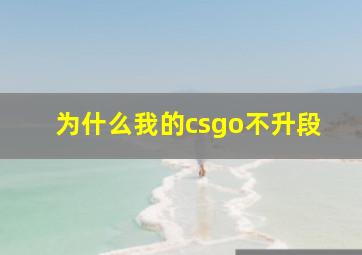 为什么我的csgo不升段