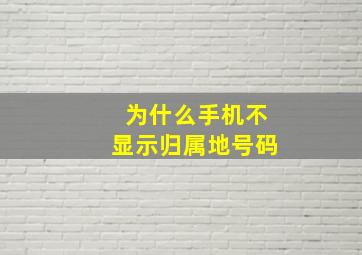 为什么手机不显示归属地号码