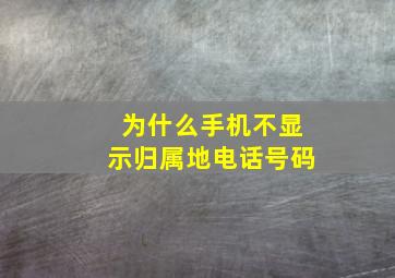 为什么手机不显示归属地电话号码