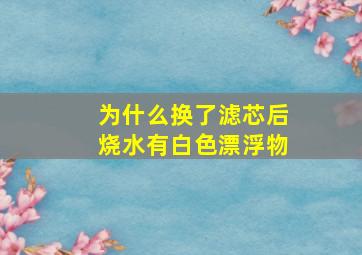 为什么换了滤芯后烧水有白色漂浮物