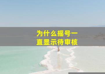 为什么摇号一直显示待审核