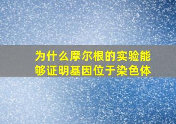 为什么摩尔根的实验能够证明基因位于染色体