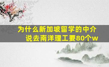 为什么新加坡留学的中介说去南洋理工要80个w