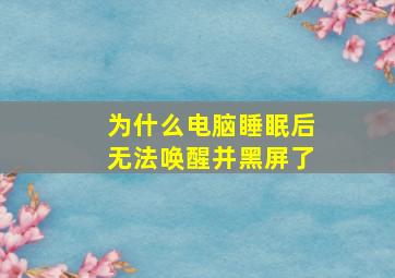 为什么电脑睡眠后无法唤醒并黑屏了