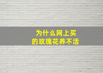 为什么网上买的玫瑰花养不活