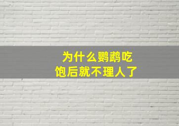 为什么鹦鹉吃饱后就不理人了