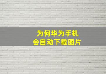 为何华为手机会自动下载图片