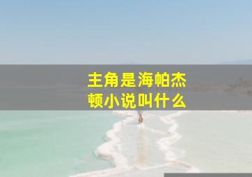 主角是海帕杰顿小说叫什么