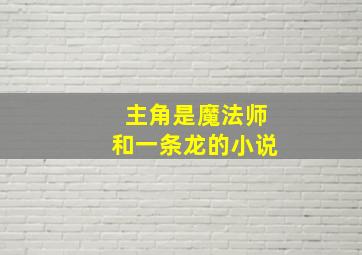 主角是魔法师和一条龙的小说