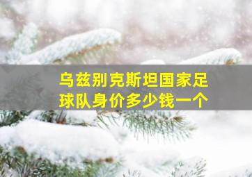 乌兹别克斯坦国家足球队身价多少钱一个