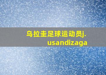 乌拉圭足球运动员j.usandizaga