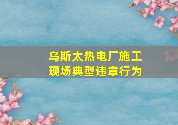 乌斯太热电厂施工现场典型违章行为