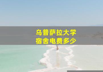 乌普萨拉大学宿舍电费多少