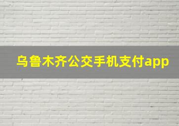 乌鲁木齐公交手机支付app