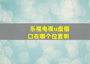 乐视电视u盘插口在哪个位置啊