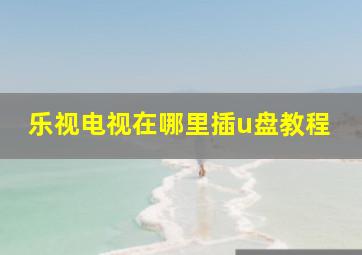 乐视电视在哪里插u盘教程