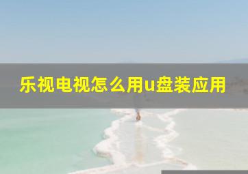 乐视电视怎么用u盘装应用