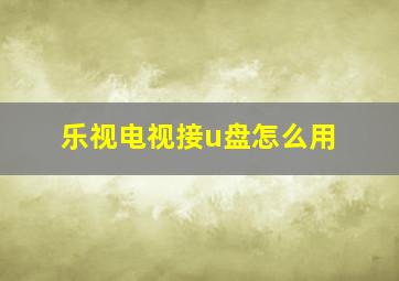 乐视电视接u盘怎么用