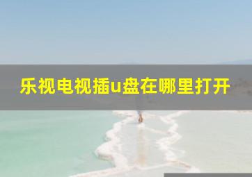 乐视电视插u盘在哪里打开