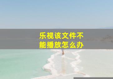 乐视该文件不能播放怎么办