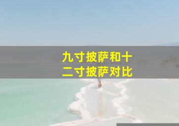 九寸披萨和十二寸披萨对比