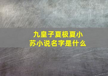 九皇子夏极夏小苏小说名字是什么