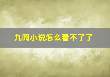 九阅小说怎么看不了了