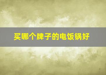 买哪个牌子的电饭锅好