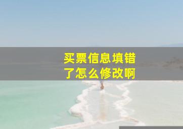 买票信息填错了怎么修改啊