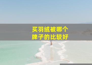 买羽绒被哪个牌子的比较好