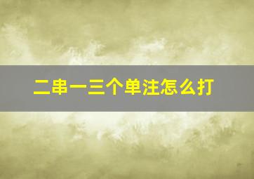 二串一三个单注怎么打