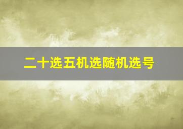 二十选五机选随机选号