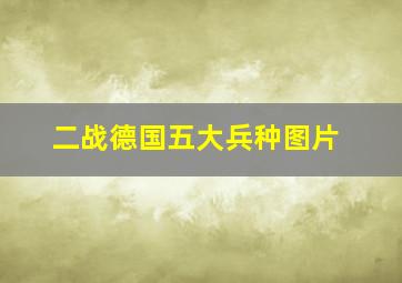 二战德国五大兵种图片