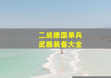 二战德国单兵武器装备大全