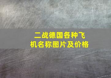 二战德国各种飞机名称图片及价格