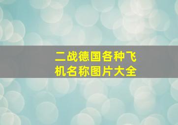 二战德国各种飞机名称图片大全