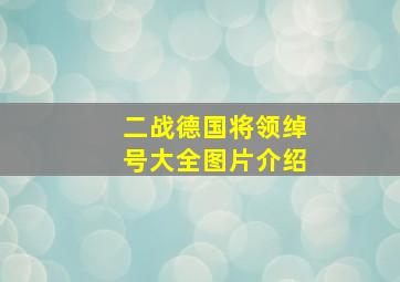 二战德国将领绰号大全图片介绍