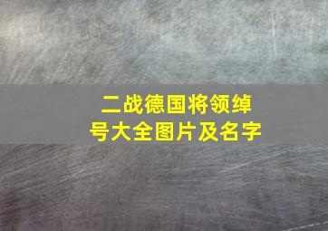 二战德国将领绰号大全图片及名字