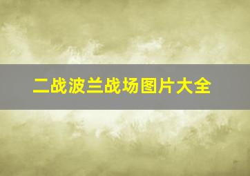 二战波兰战场图片大全