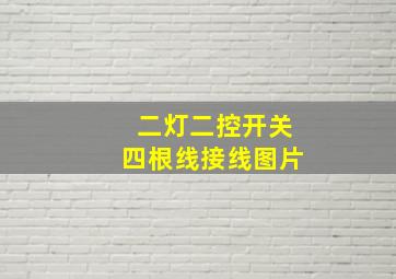 二灯二控开关四根线接线图片