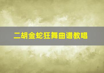 二胡金蛇狂舞曲谱教唱