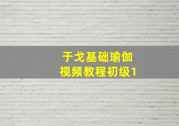 于戈基础瑜伽视频教程初级1